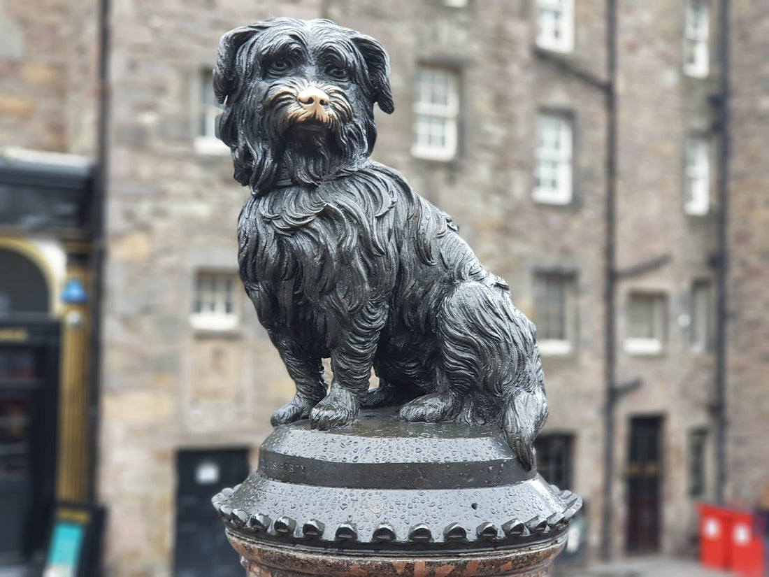 Greyfriars Bobby : si la fidélité avait un nom