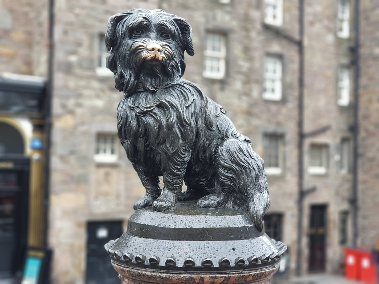 Greyfriars Bobby : si la fidélité avait un nom