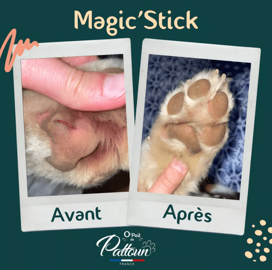 Baume cicatrisant pour chien Magic' Stick - NoonyMoon