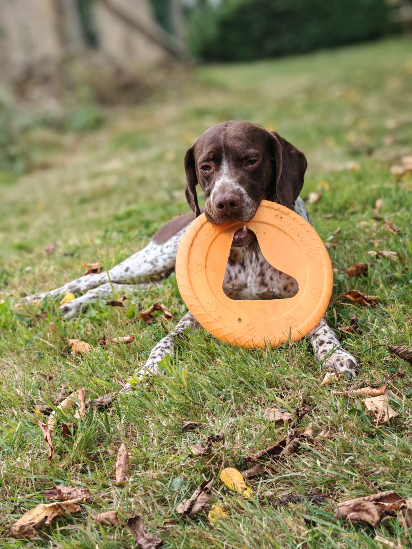 Frisbee flexible et flottant - NoonyMoon