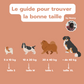 Guide des tailles pour choisir la bonne racine de bruyère