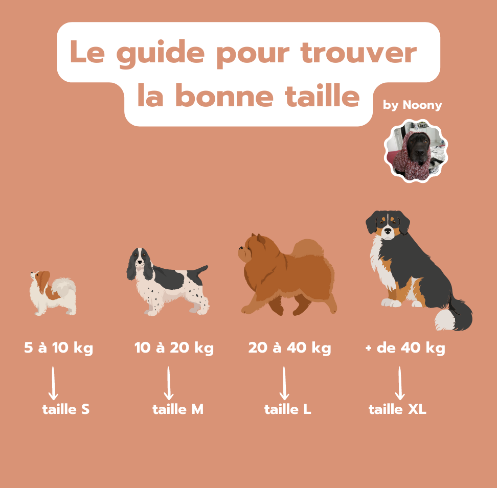 Guide des tailles pour choisir la bonne racine de bruyère