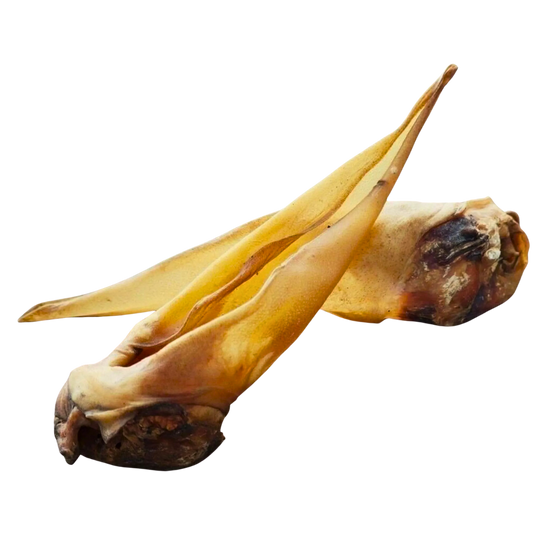 Oreilles de bœuf séchées (x10)